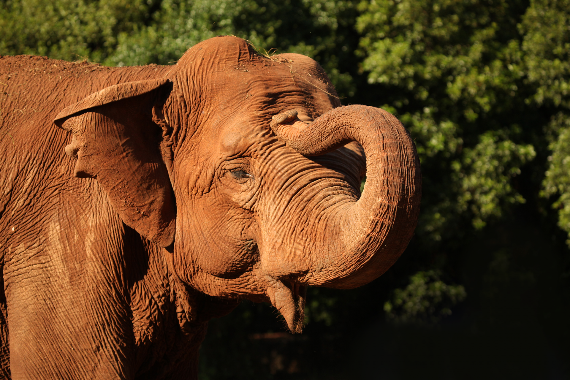 Fotos | Brijuni Nationalpark