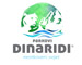 Dinaridi